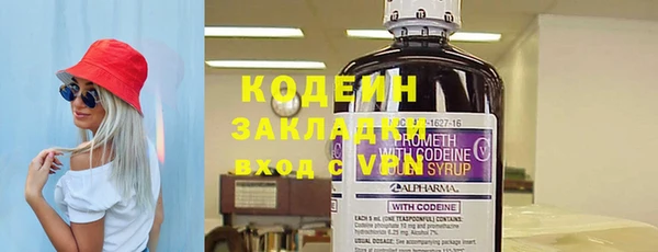 прущие грибы Абинск