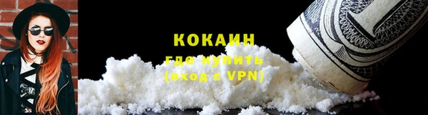 прущие грибы Абинск