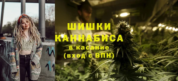 прущие грибы Абинск