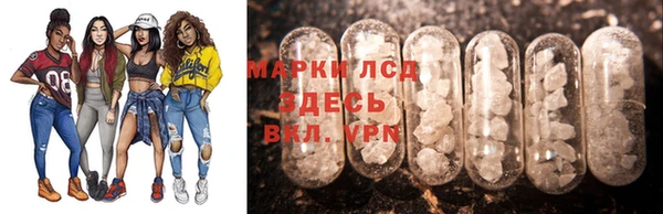прущие грибы Абинск