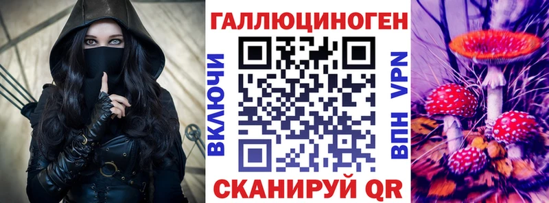 Псилоцибиновые грибы Cubensis  Щёкино 