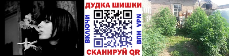 Каннабис конопля Щёкино