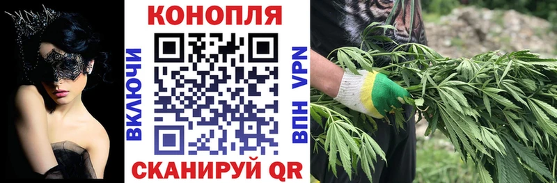 купить наркоту  даркнет как зайти  Бошки марихуана White Widow  Щёкино 